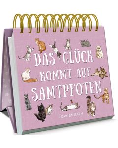 Das Glück kommt auf Samtpfoten