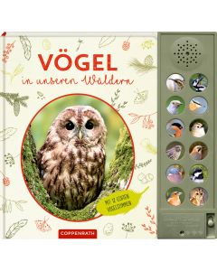 Vögel in unseren Wäldern