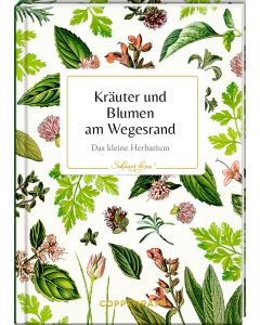 Kräuter und Blumen am Wegesrand