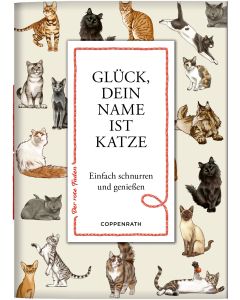 Glück, dein Name ist Katze