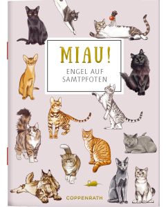 MIAU! - Engel auf Samtpfoten