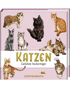 Katzen