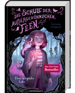 Die Schule der außergewöhnlichen Feen (Bd. 1)
