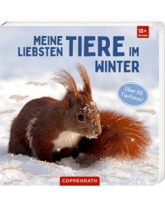 Meine liebsten Tiere im Winter
