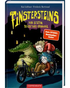 Die Finstersteins (Bd. 3)