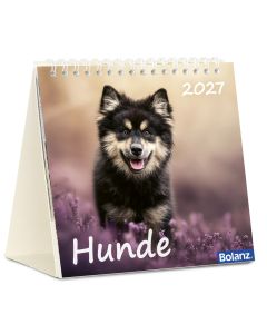 Hunde 2027 – Tischkalender
