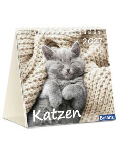 Katzen 2027 – Tischkalender
