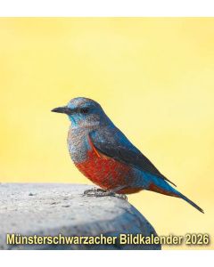 Münsterschwarzacher Bildkalender 2026