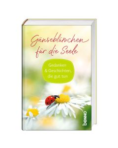 Gänseblümchen für die Seele