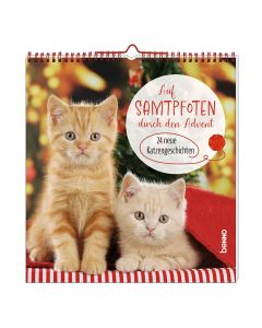 Auf Samtpfoten durch den Advent
