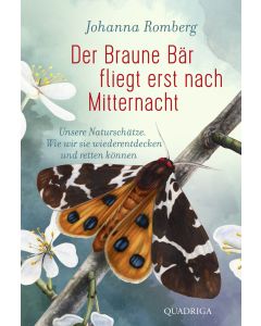 Der Braune Bär fliegt erst nach Mitternacht