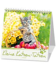 Kleine Katzen-Tatzen 2026