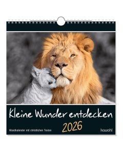 Kleine Wunder entdecken 2026