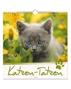 Katzen-Tatzen 2027