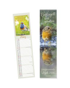 Beflügelt und gehalten 2026