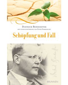 Schöpfung und Fall