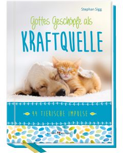 Gottes Geschöpfe als Kraftquelle