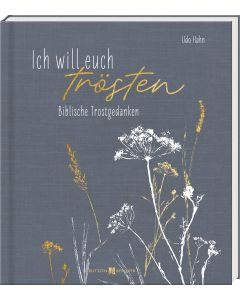 Ich will euch trösten