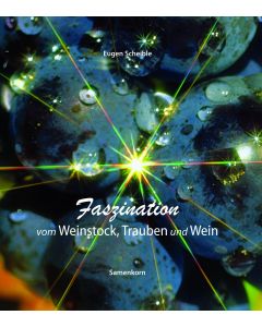Faszination vom Weinstock, Trauben und Wein