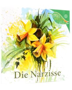 Die Narzisse