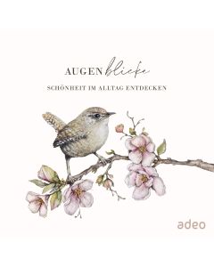 AugenBlicke - Aufstellbuch