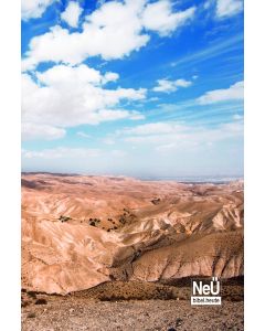 NeÜ bibel.heute Standardausgabe