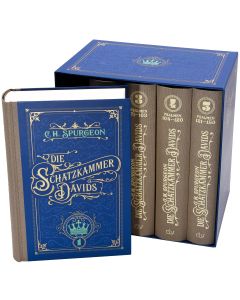 Die Schatzkammer Davids
