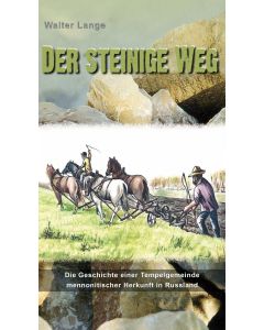 Der steinige Weg