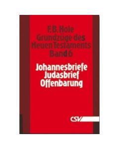 Grundzüge des Neuen Testaments, Band 6