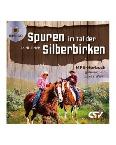 Spuren im Tal der Silberbirken