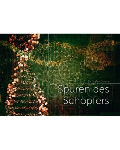 Spuren des Schöpfers