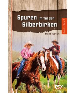 Spuren im Tal der Silberbirken