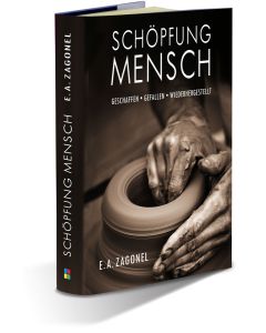 Schöpfung Mensch