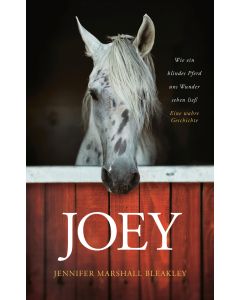 Joey - Wie ein blindes Pferd uns Wunder sehen ließ