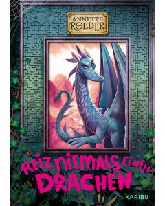 Reiz niemals einen Drachen (Band 2)