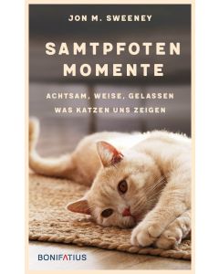 Samtpfotenmomente