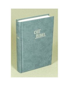 Die Bibel - Pocketausgabe (grau-blau)